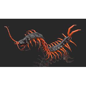 3D Scolopendra Subspinipes Rigged